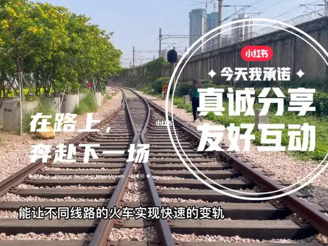 打卡深圳草埔人字形火车轨道