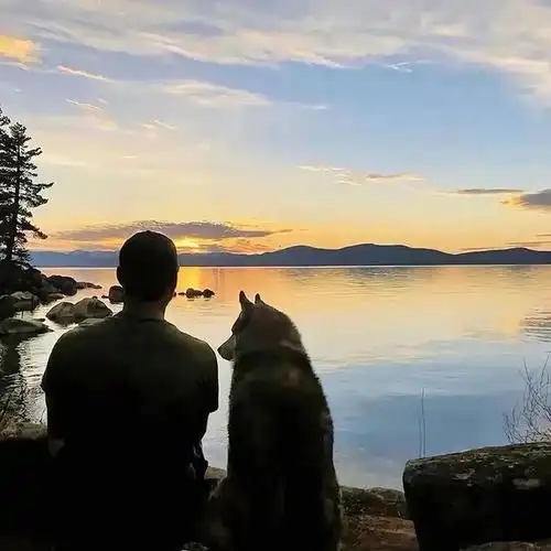 微信头像|孤独的男人