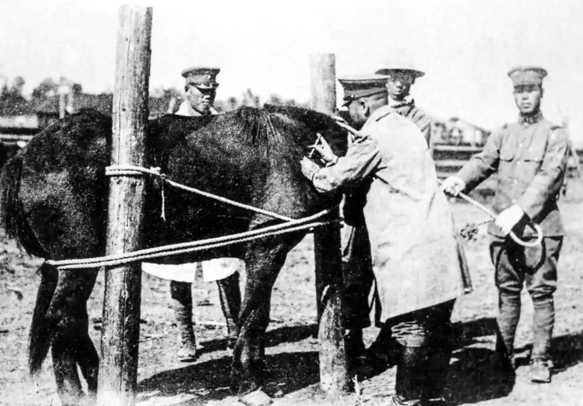 苦难见证:揭秘侵华日军细菌战第100部队