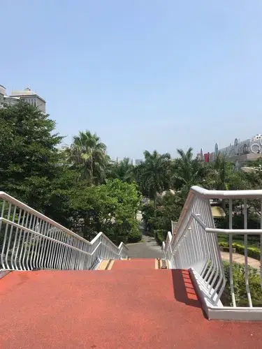 厦门环海路植物园20190816