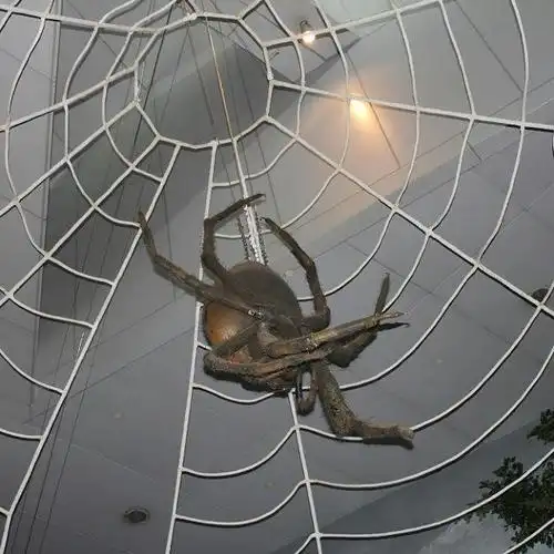 上海科技馆的科学美享大餐