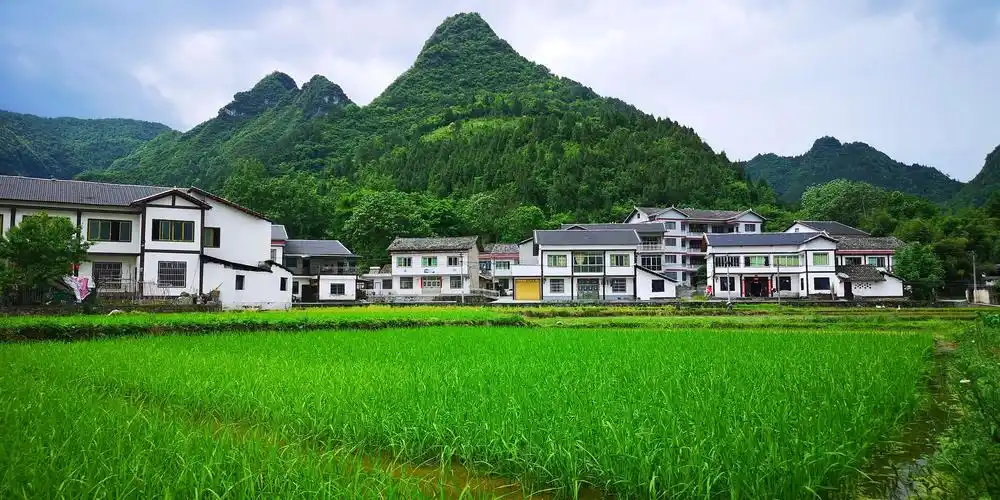 中国诗乡～遵义绥阳 - 美篇