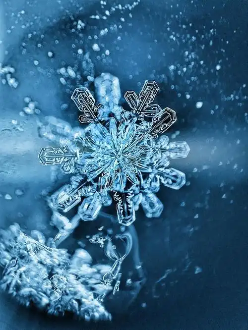 冬天到了,雪花漫天飘,你知道雪花长什么样子吗,有什么样的形状呢?