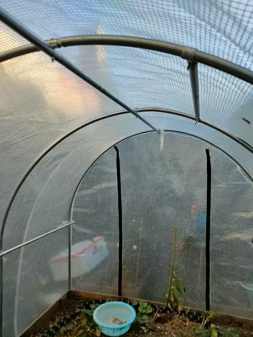 家用温室花房阳台冬天养花菜棚简易植物蔬菜种冬季花卉庭院保温棚