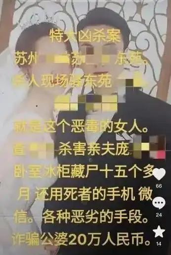 对标上海杀妻案苏州女子杀夫冰柜藏尸15