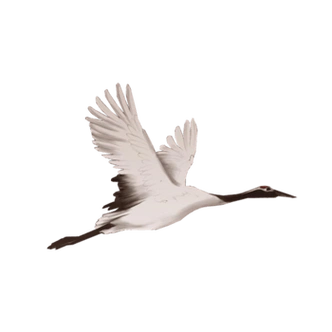 白鹤png