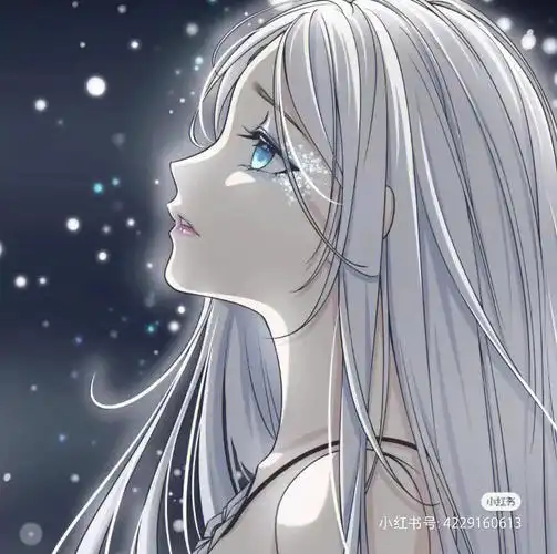 冰公主美图