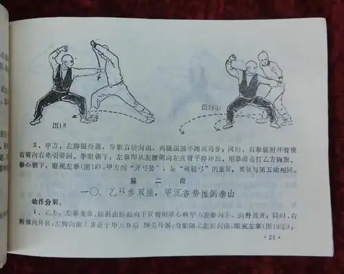 【门派拳种】黑虎拳
