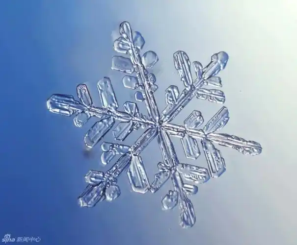 此心若水水成冰