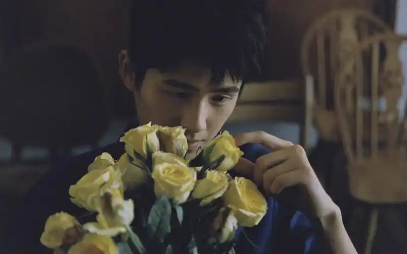 刘昊然帅气胶片风高清桌面壁纸