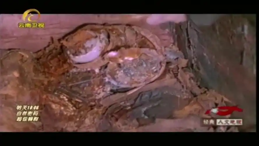 万历皇帝棺木打开,尸体已经全部腐烂,只留下一个干枯骨架!