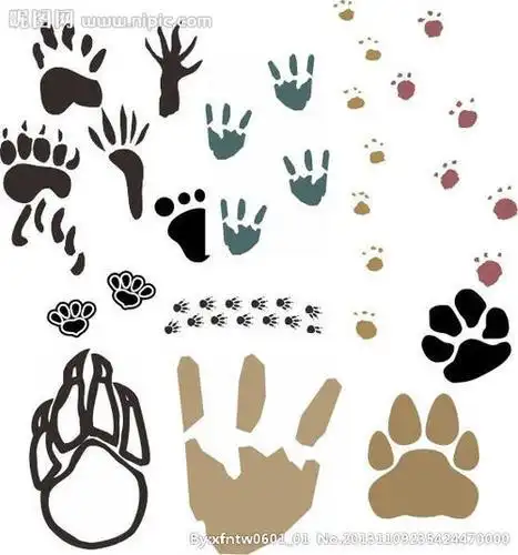 小猪的脚印简笔画