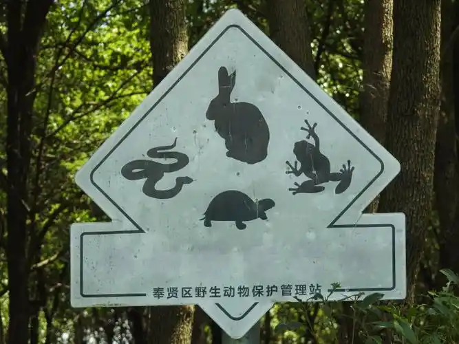 奉贤区野保站在林地外设立的野生动物栖息地标志牌