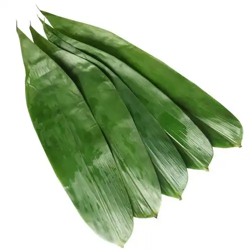 新鲜野生粽叶真空装大粽叶烘干大粽子叶农家天然包粽子的干粽叶