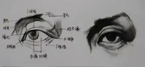 五官素描眼睛素描画教程 眼睛素描简单入门眼睛素描临摹