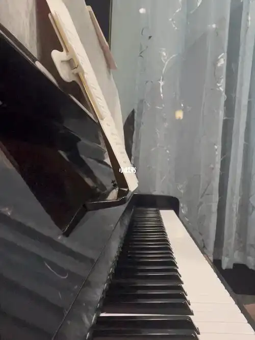 练琴小汤5骑士的年代