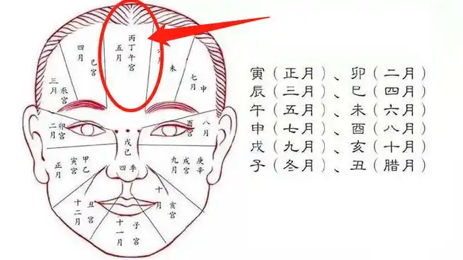 庚午月(6月6日到7月6日)运势小贴士即印堂官禄宫一带,喜红紫赤方是