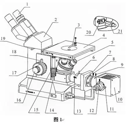 lwd200-4cs数码金相显微镜