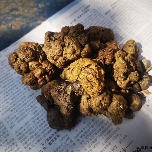 蜂胶原胶 蜜蜂胶泡酒胶入药食用纯正蜜蜂采集 计重50g小蒙蜂场