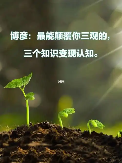 博彦最能颠覆你三观的三个知识变现认知