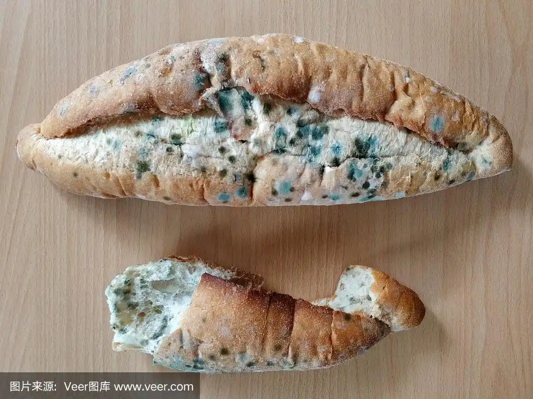 发霉的面包