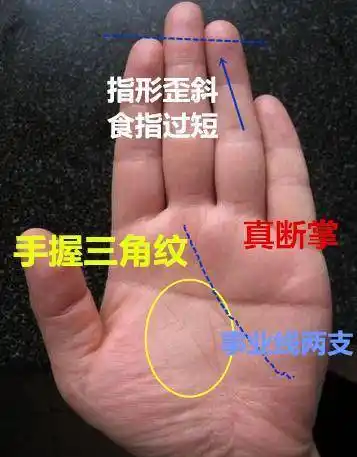 男人手掌有这种"龙头纹",年少贫穷中年时运一到,必定大器晚成_手相