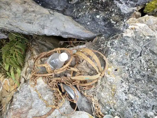 山里人拿来夹野兽的铁夹及铁链.