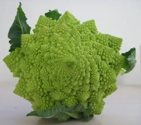 花椰菜美味大餐 保健更减肥