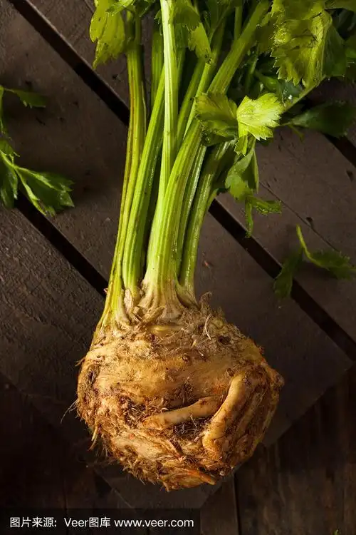 生有机芹菜根