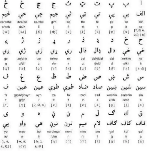 【转载】教授花36年编写词典无人过问 自称"完全理解"