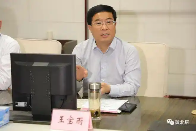 区委副书记,区长王宝雨,区领导庞镭,胡学春,杨淑鑫参加.