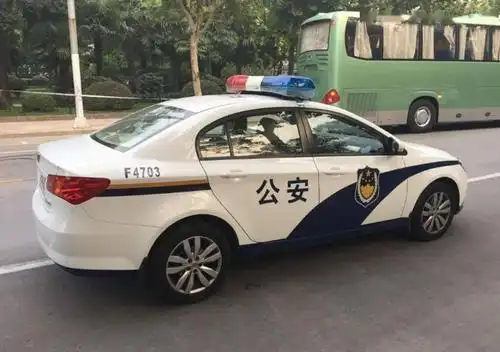 北京街头一辆"迈腾"走红,车身喷"警车漆",交警看到不淡定了