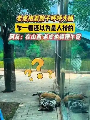 狮子似的猛兽竟抱臂沉睡,初见还以为是真人扮演!