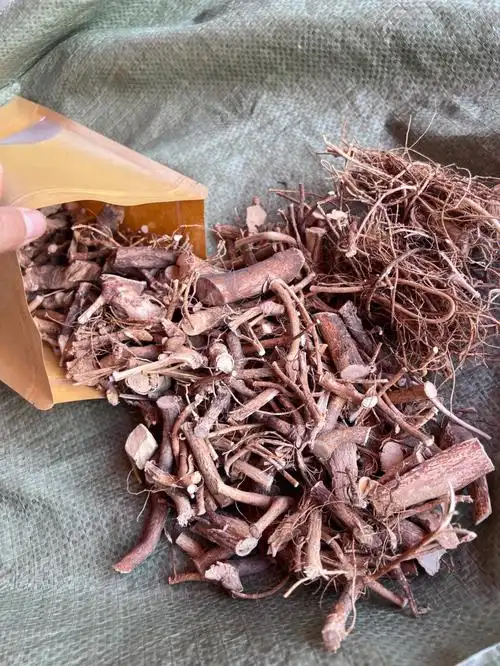 五指毛桃,俗名牛奶木,土黄芪,土五加皮,火龙叶,九龙根,五爪桃,粗叶榕