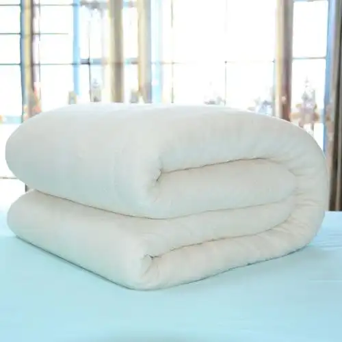 5斤新疆棉被棉胎棉花被芯 学生棉絮工地宿舍垫褥有网保暖冬棉被子