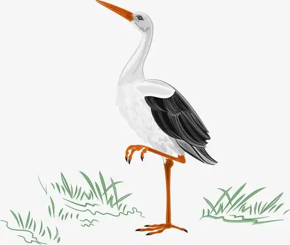 矢量丹顶鹤素材免费下载_觅元素