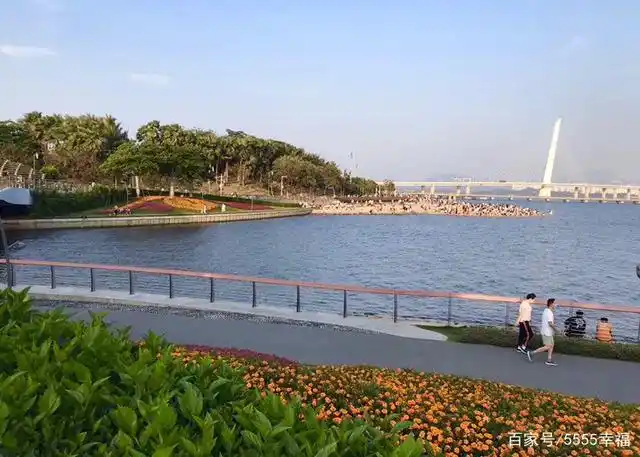 最大免费景点深圳湾公园,可骑车观景,还可观赏到落霞与千鸟齐飞