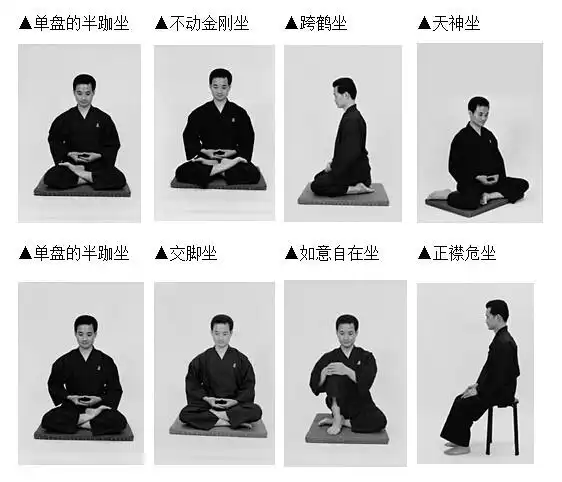 双盘练习秘法十二式 (附简图)