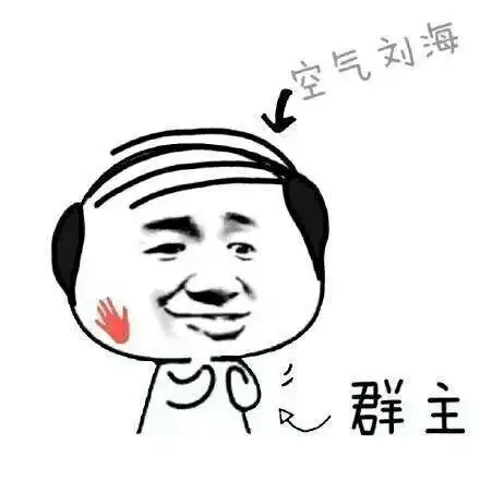 空气刘海(秃头群主!)_群主_秃头_刘海表情