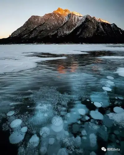 每周摄影作品精选:m43(第20180318期)