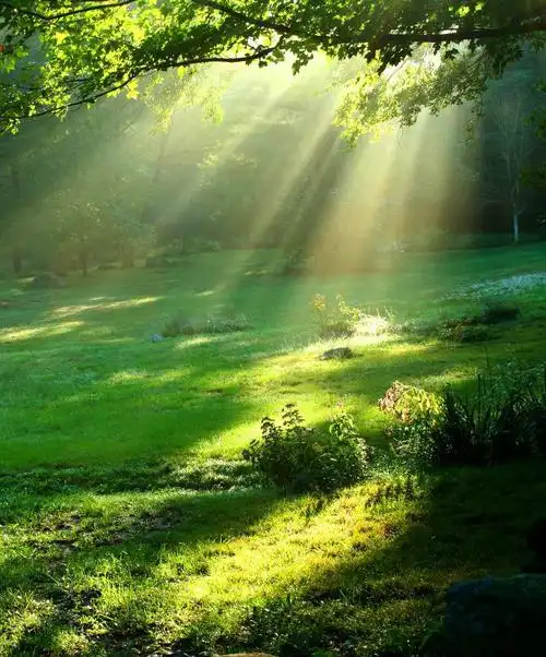 做一抹有梦想的阳光——读《假如我能行走三天》有感