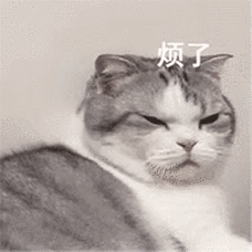 大家带来一组暴躁不失可爱的猫咪表情,生气的时候必备的动图表情包哦