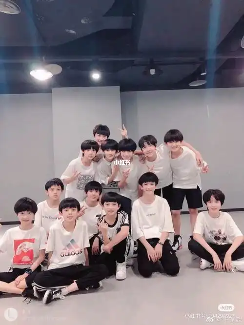 可能以后再也看不到tf家族全员了0106