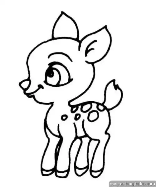 梅花鹿和荷花简笔画大图