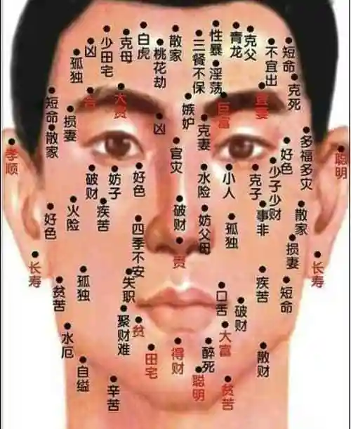 男女脸上痣的位置与命运图解 面部痣的位置与命运大全 - 玉石阁