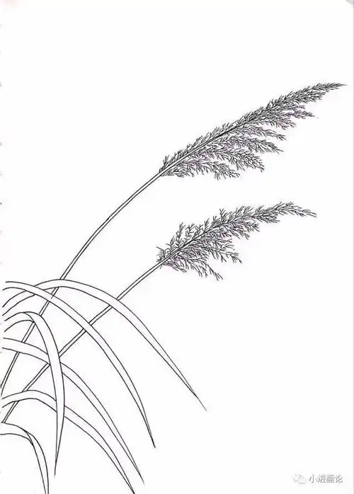 钢笔画教程 |【黑白风景绘】风车小筑