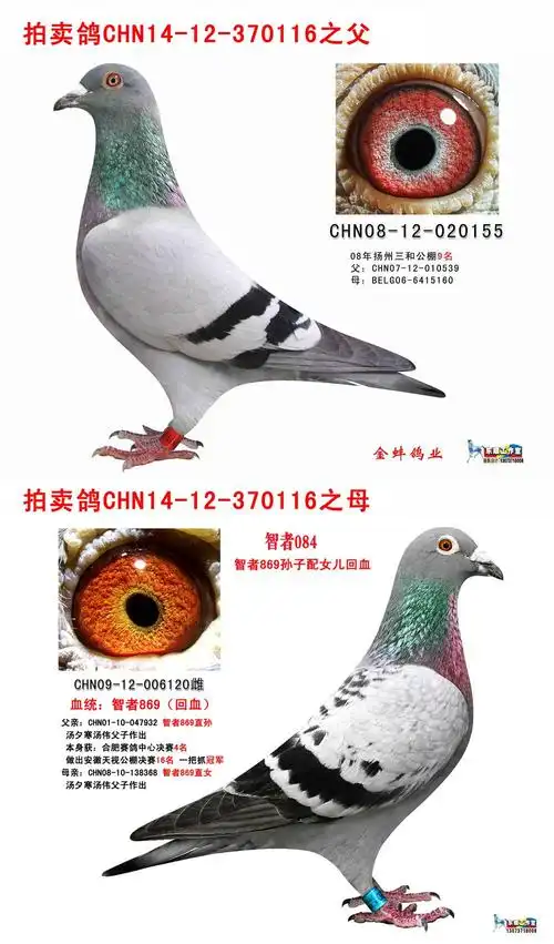 >> 查看拍卖商品