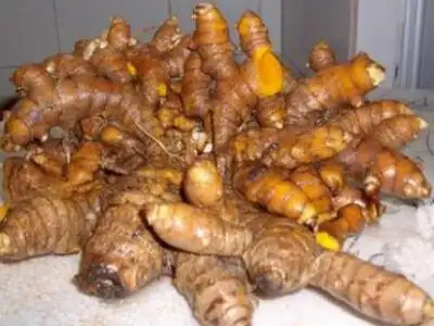 [详细]野黄姜的功效与作用是什么2019-01-07 18:39标签:黄姜现在有