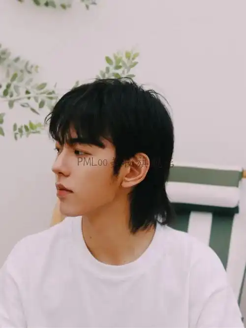 狼尾假发男鲻鱼头韩版逼真超a酷帅短直发中分网红个性学生全头套 奶奶