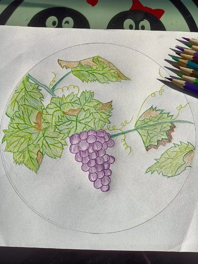 彩铅手绘 画了一枝葡萄. - 抖音